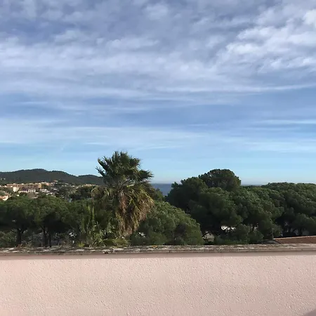 Apartment Les Camelias 2b
